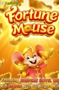 Fortune Mousse en 7REY COM